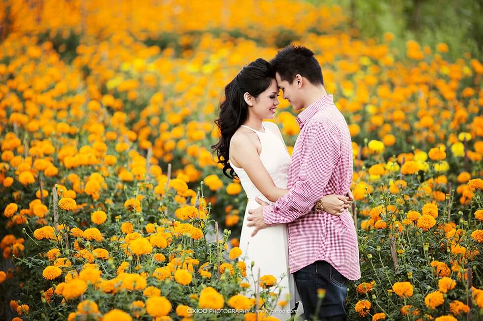 Axioo: Magical Chemistry