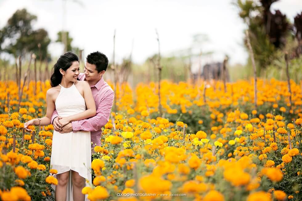 Axioo: Magical Chemistry