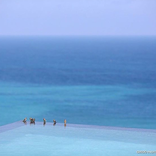 The Infinite Garden of Love