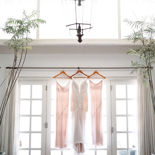 Tropical Breeze of Love